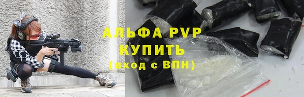 шишки Кодинск