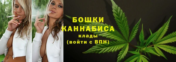 шишки Кодинск