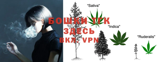 шишки Кодинск