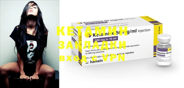 шишки Кодинск