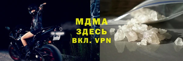 шишки Кодинск