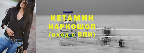 шишки Кодинск