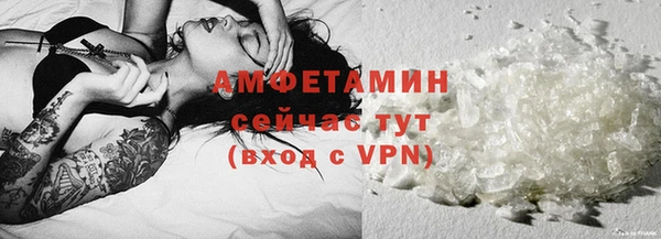 шишки Кодинск