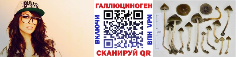 Купить Сорочинск Псилоцибиновые грибы MAGIC MUSHROOMS